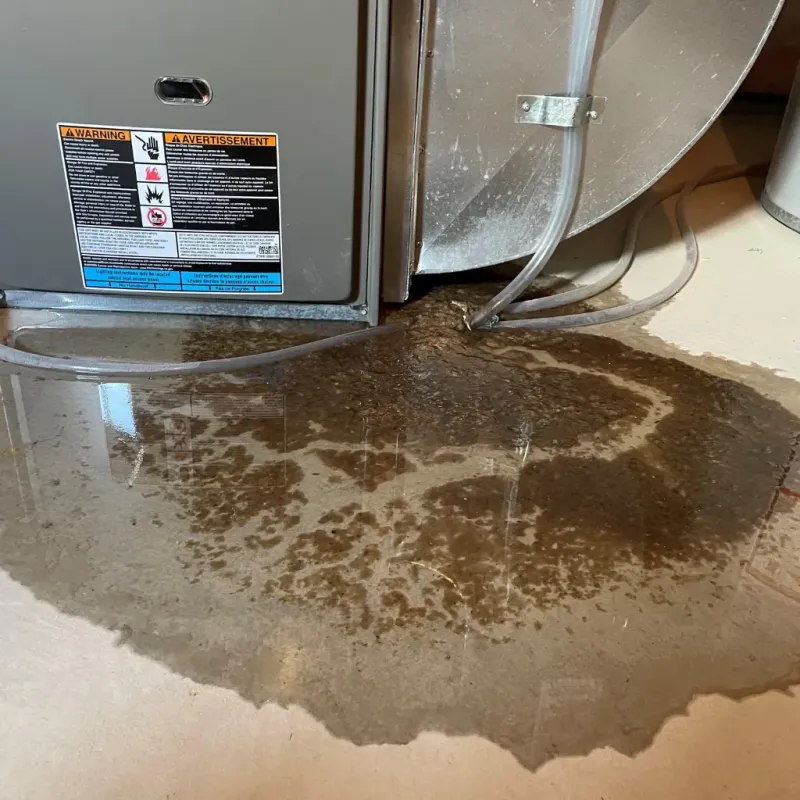 Appliance Leak Cleanup in East Honolulu, HI