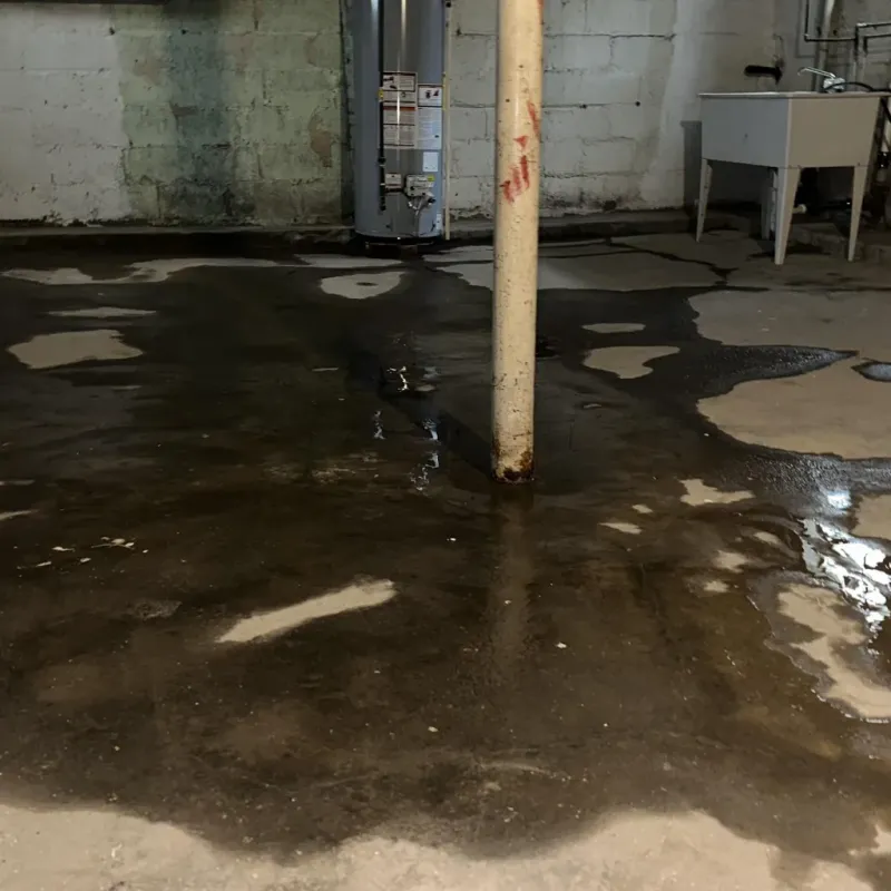 Emergency Water Extraction And Removal in East Honolulu, HI